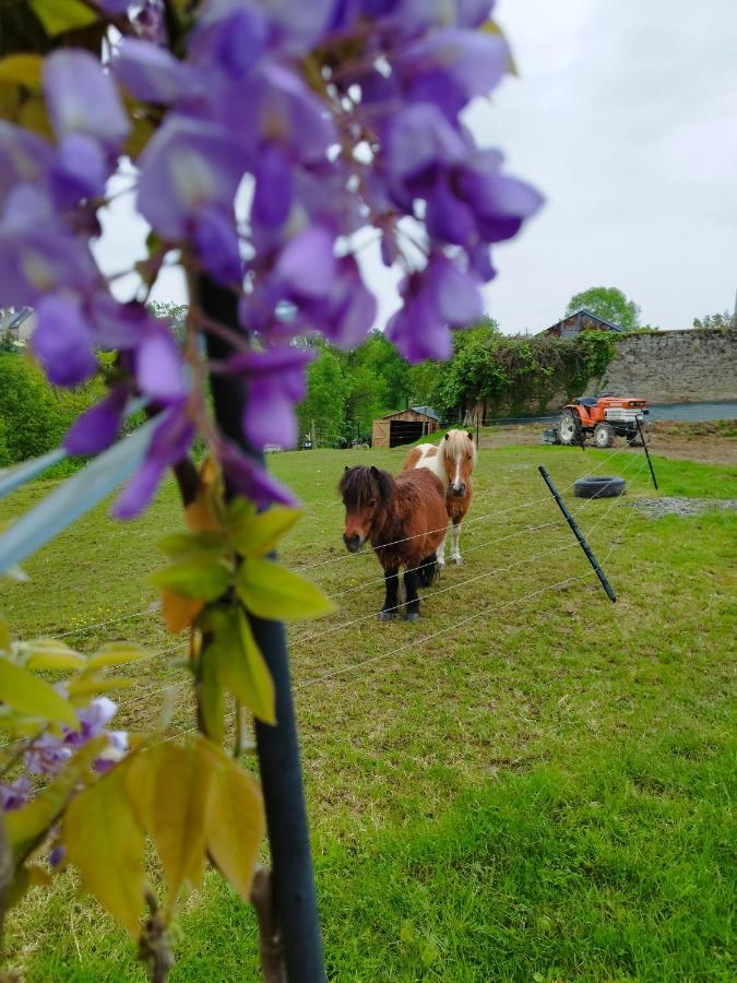 Le Domaine De Pivette Chambre Climatisee Et Insolite Avec Terrasse Privative Avranches Eksteriør bilde
